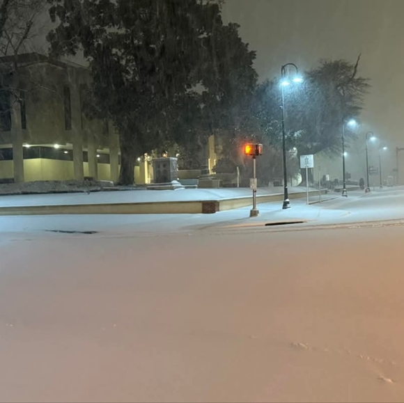 Snow ❄️ Florida - Picture 2 of 2